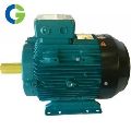 220V 1-3kw Electric Cast Iron crompton greaves motor