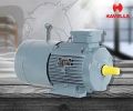 Havells Electric Motor