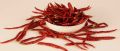 S17 Teja Stem Cut Dried Red Chilli