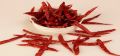 S17 Teja Stemless Dried Red Chilli