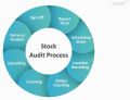 Stock Audit and Assignments Services