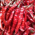 Long Dried Red Chilli