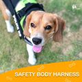 BFF Matty Security K9 Pet Harness