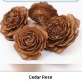 Cedar roses dry flowers