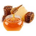 Forest Honey