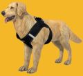 BFF Air Mesh Harness with Reflector Band