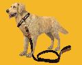 BFF Leather & Cotton Brown Leash & Collar