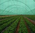 HDPE Plastic Square green agro shade net