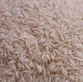 1509 basmati rice