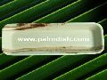 10 Inch Narrow Palm Leaf Rectangular Platter