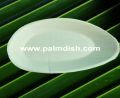 10 Inch Palm Leaf Oval Platter