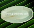 12 Inch Small Palm Leaf Oval Platter