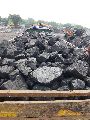 Lumps Black Solid Steam Coal
