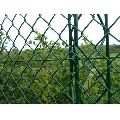 Galvanized Iron GI green chain link mesh fence
