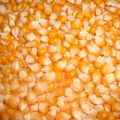 Organic d grade maize seeds