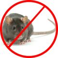 monthly rodents pest control service