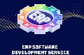 erp software development service