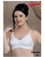 Cotton Regular Bra