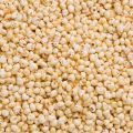 Organic Kodo Millet