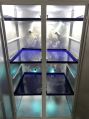 CHEMI CO uv cupboard