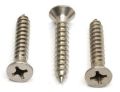 Raghav Steel Products Stainless Steel drywall screw