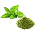 Dehydrated Mint Leaves Powder