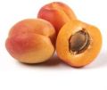 fresh apricots