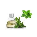 Chinese Peppermint Essential Oil