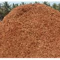Brown coco peat powder