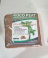 Brown laminated coco peat blocks