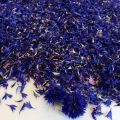 Dried Blue Cornflower