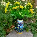 Blue Pottery Flower Vase Jar