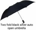 Two Fold Black Silver Auto Open Umbrella