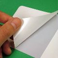 Clay Coated Kraft Paper