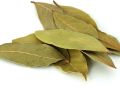 Dried Bay Leaves