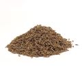 Regular Cumin Seeds