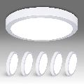 LED Wall Ceiling Lamp