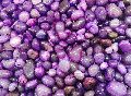 Purple Pebble Stone