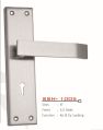 SSH-1005 Stainless Steel Mortise Handle
