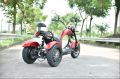 Electric Scooter Cobra S3 Chopper Moped CityCoco Motorcycle Bike Whats App  +1 209 718 1322