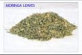 Natural Dried dry moringa leaves