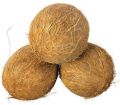 Brown Raw Coconut