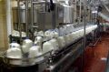 100-1000kg 1000-2000kg 220V 380V 440V New Automatic Elecric Amishi Engineering Solutions Three Phase AES Satnam Dairy Processing Plant