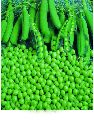 Imported Karishma Peas Seeds
