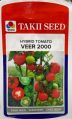 Takii Seed tomato seed