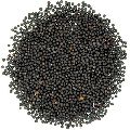Organic black mustard seeds