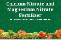 Calcium Nitrate and Magnesium Nitrate Fertilizer