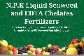 Liquid NPK Seaweed and EDTA Chelated Fertilizer