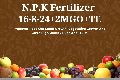 N.P.K Fertilizer 16-8-24+2MGO+TE