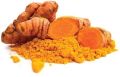 Turmeric Extract